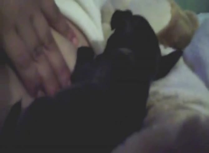 Video :Dog licking the big boobs of kinky woman